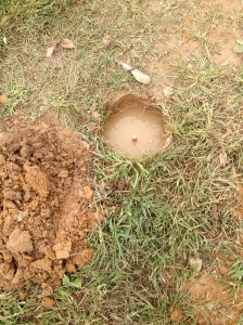 Ground rod in the hole